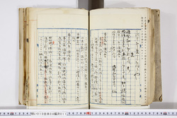 明い010040110002.jpg
