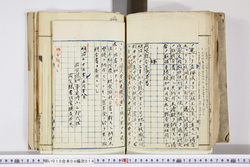 明い010040140002.jpg