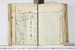 明い010040140003.jpg