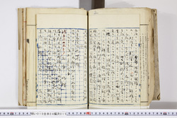 明い010040150003.jpg