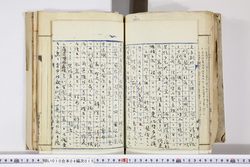 明い010040150005.jpg