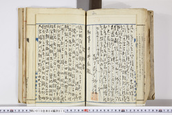 明い010040150007.jpg