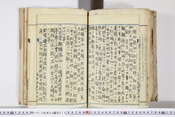 明い010040150008.jpg