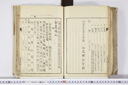 明い010040150017.jpg