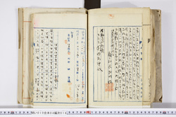 明い010040160007.jpg