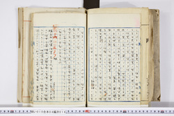 明い010040160008.jpg