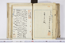 明い010040160012.jpg