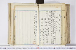 明い010040160016.jpg