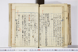 明い010040170002.jpg