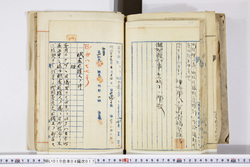 明い010040170005.jpg
