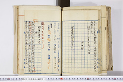 明い010040170006.jpg