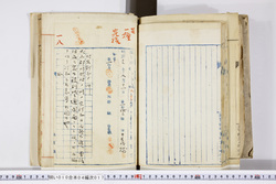 明い010040170008.jpg