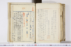 明い010040180009.jpg