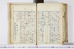 明い010040180011.jpg