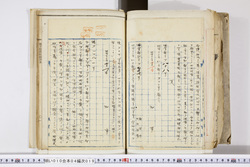 明い010040190002.jpg