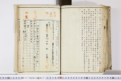明い010040210003.jpg