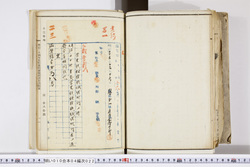 明い010040220003.jpg