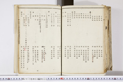 明い010040230005.jpg