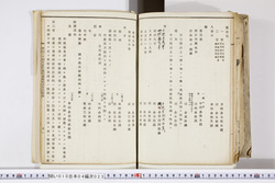 明い010040230006.jpg