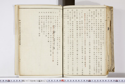 明い010040230008.jpg