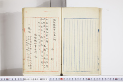 明い011010010002.jpg