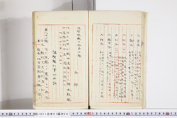 明い011010010003.jpg
