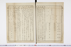 明い011010090004.jpg