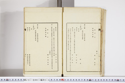 明い011010100006.jpg
