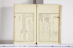 明い011010100007.jpg