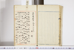 明い011010120002.jpg