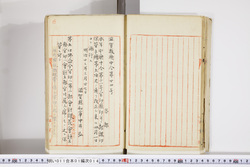 明い011010140004.jpg