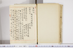 明い011010150012.jpg