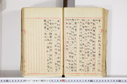 明い011010260005.jpg