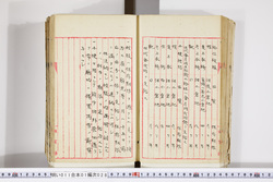 明い011010280003.jpg
