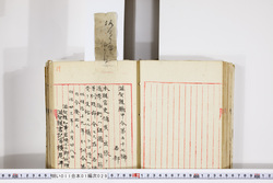 明い011010290003.jpg