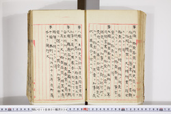 明い011010340004.jpg