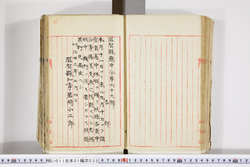 明い011010350002.jpg