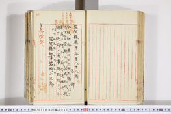 明い011010430002.jpg