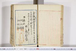 明い011010460003.jpg