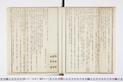明い011010470003.jpg