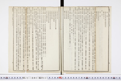 明い011010470006.jpg