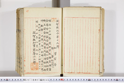 明い011010480003.jpg