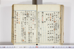 明い011020040004.jpg