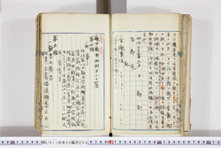 明い011020040005.jpg
