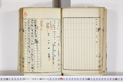 明い011030000003.jpg