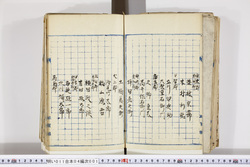 明い011040010004.jpg
