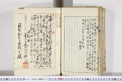 明い011040310002.jpg