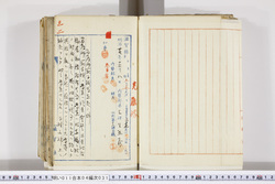 明い011040310003.jpg