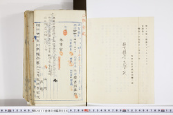 明い011040340004.jpg