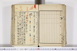 明い011050000003.jpg